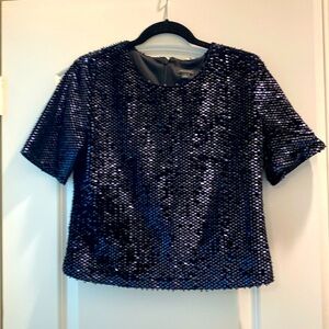 Dark Blue Matte Sequined Top